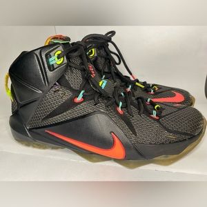 Nike Lebron 12 Data - Black, pink, blue